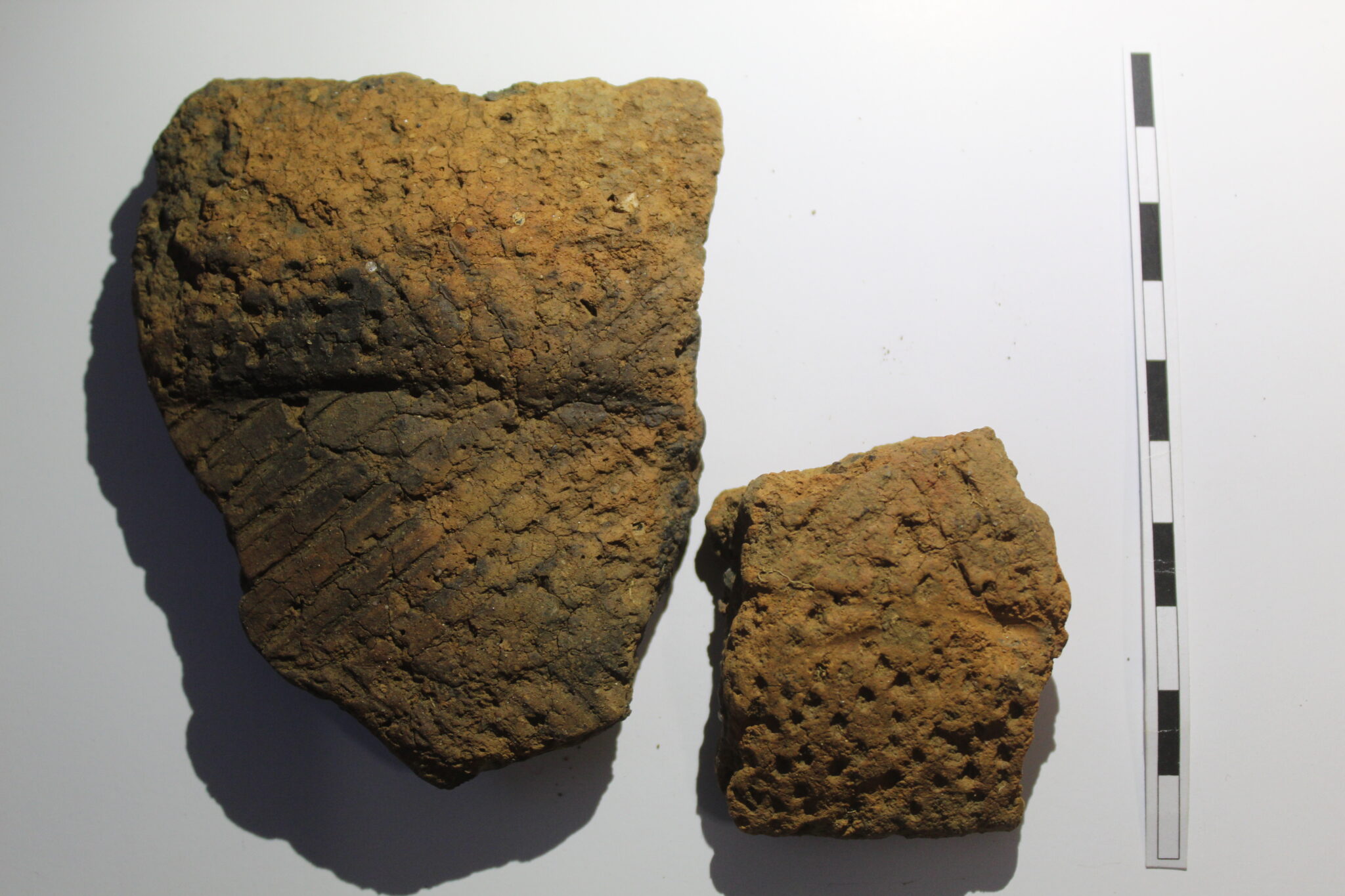 TVAS Reading Late Neolithic and Bronze Age occupation at Two Gate Lane