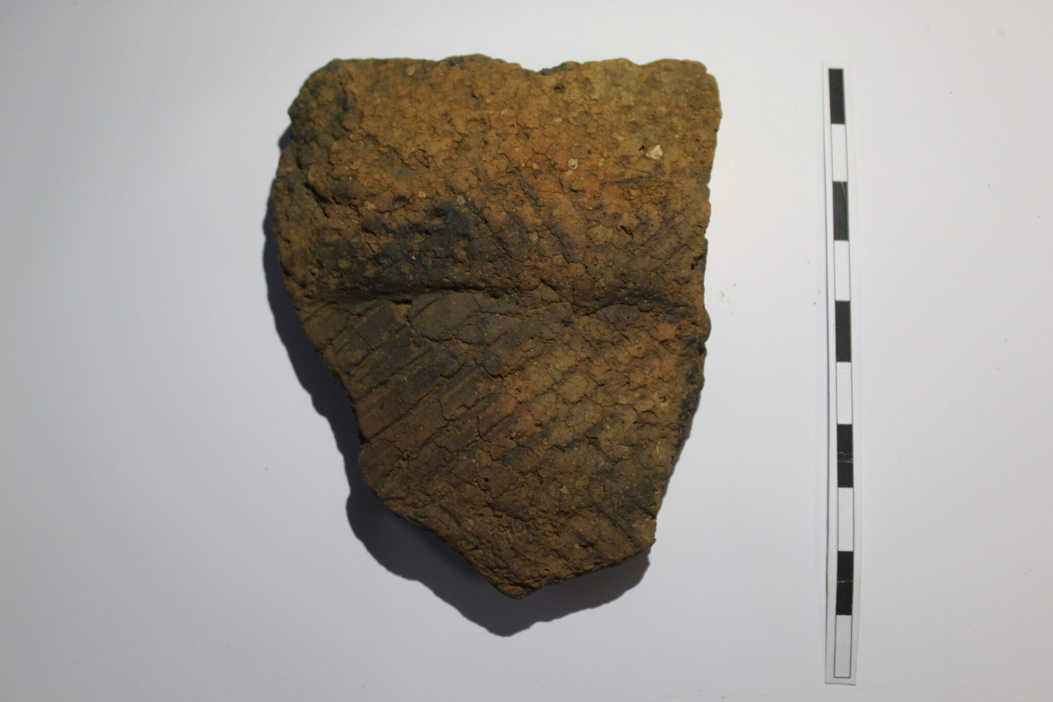 TVAS Reading Late Neolithic and Bronze Age occupation at Two Gate Lane