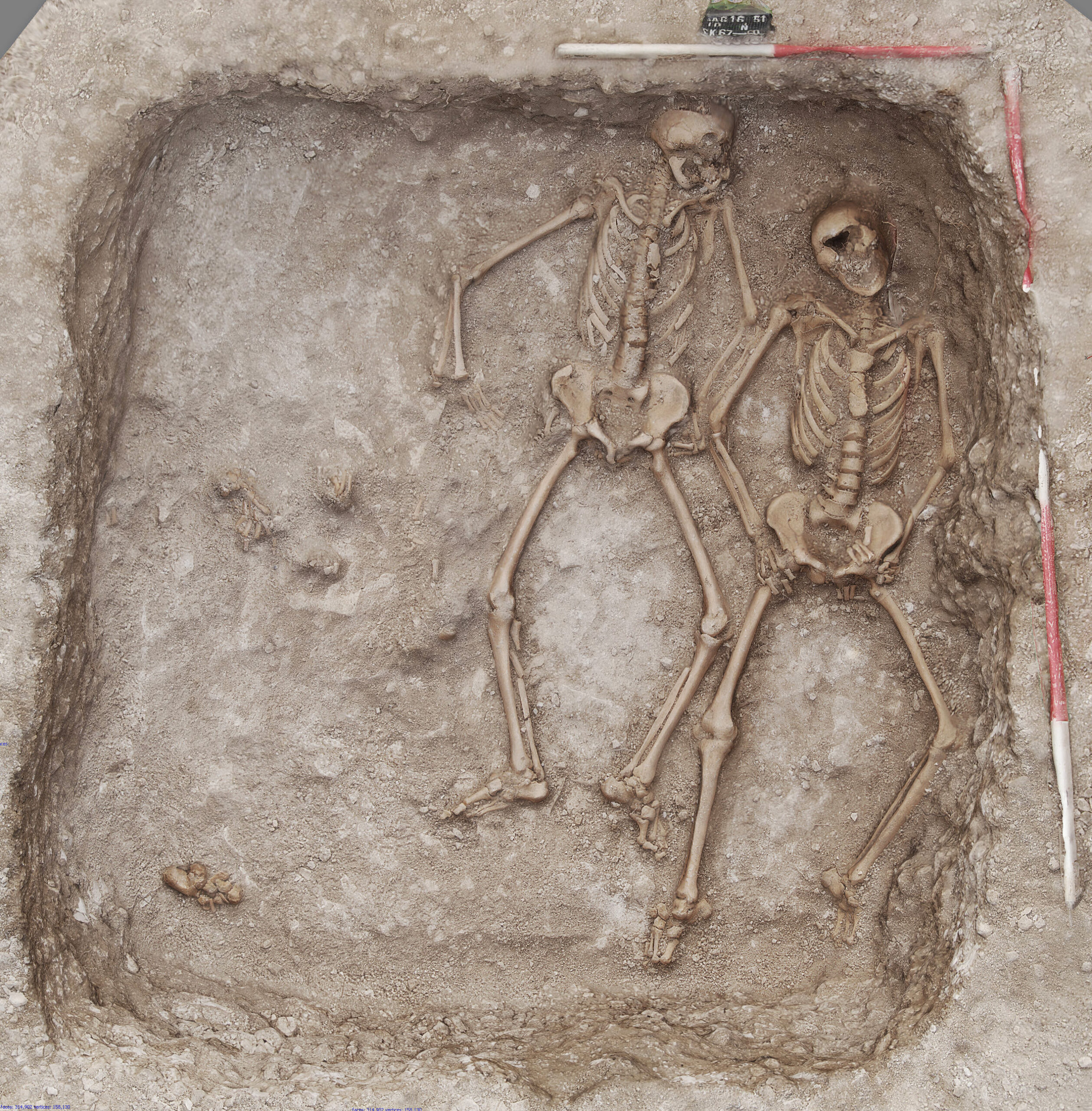 Grave 10 showing 3 human skeletons