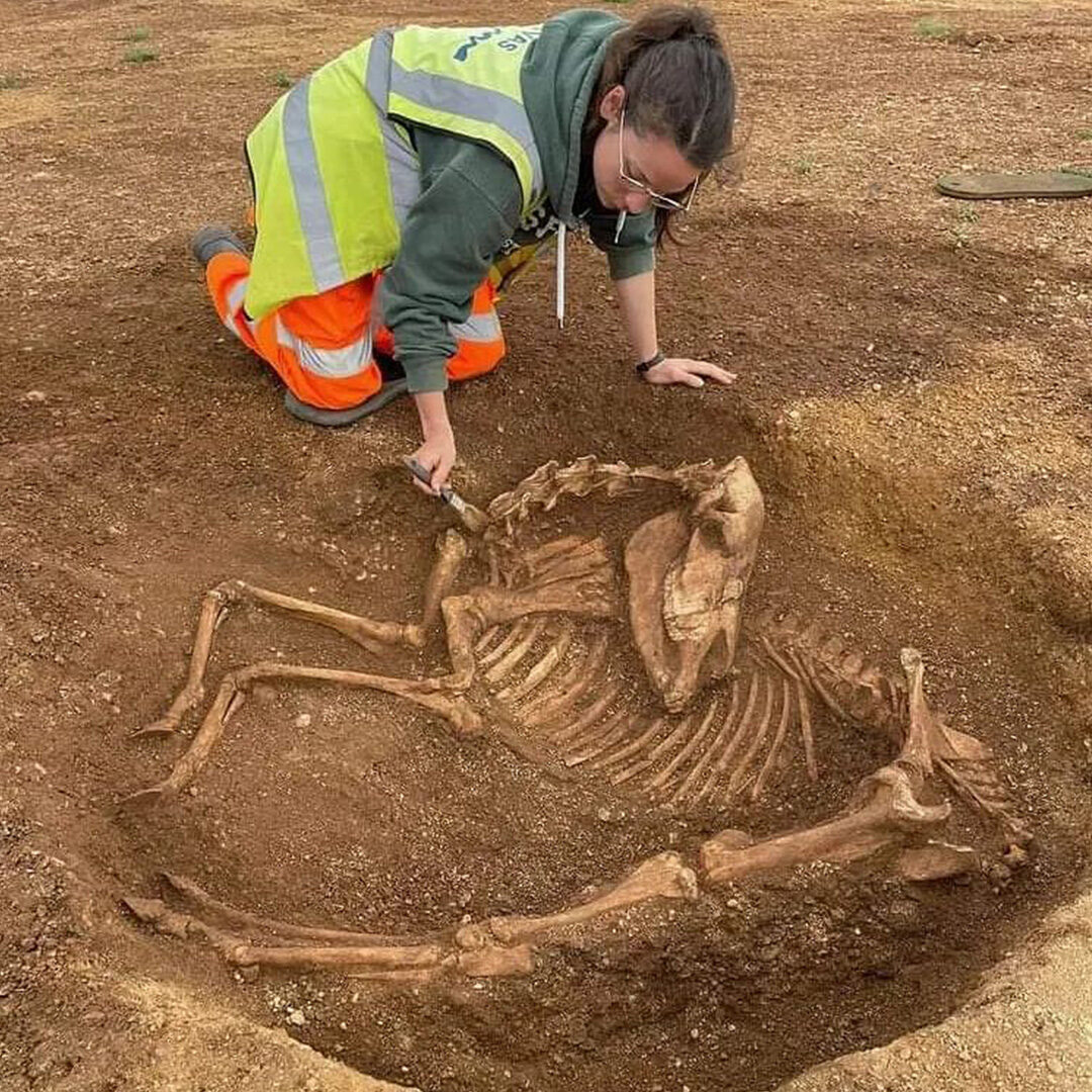 Open Day and Ongoing Excavations Open Day and Ongoing Excavations