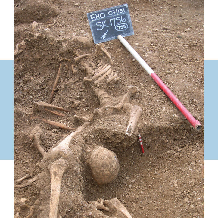 sk1756Aalt Above: sk1756 during excavations at St. Johns, Oxford.
