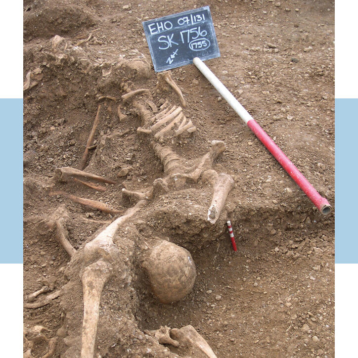Above: sk1756 during excavations at St. Johns, Oxford.