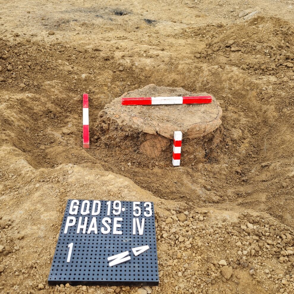 urn1 Urn excavated with photo board and three scales